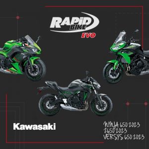 Kawasaki 650 Rapid Bike EVO