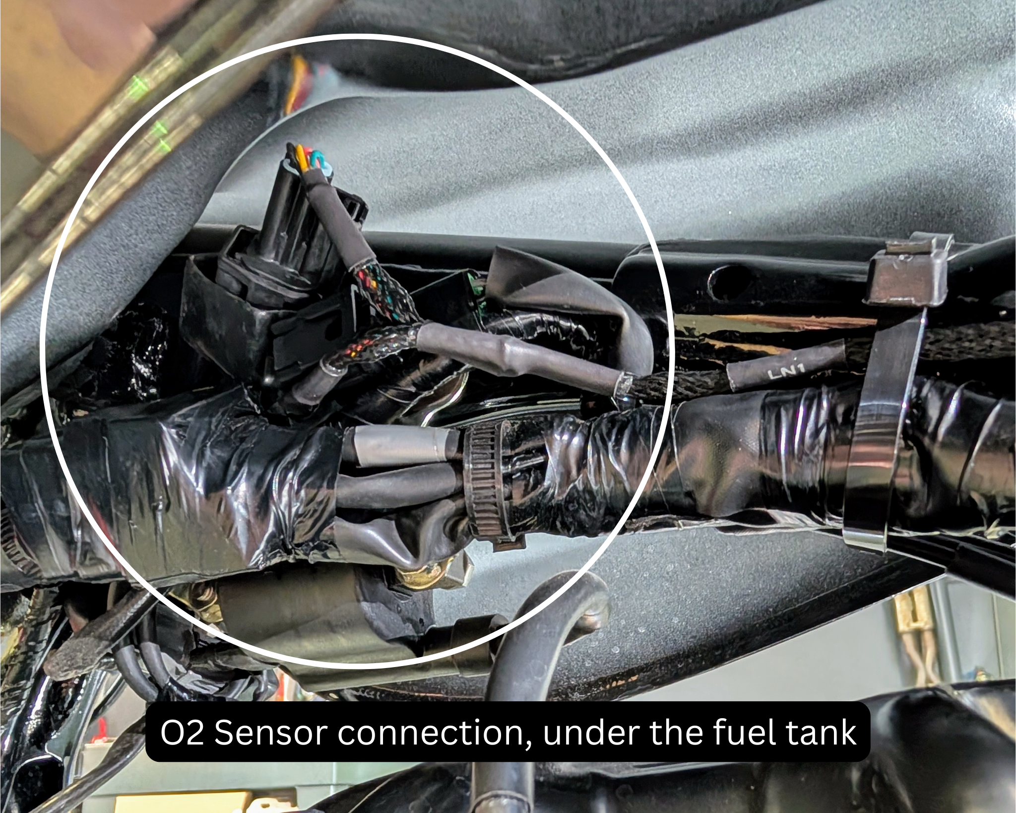 Honda GB 350 Rapid Bike Smart Tuning O2 sensor plug location